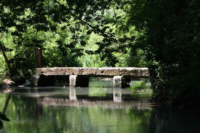 Pont des ânes à Clion